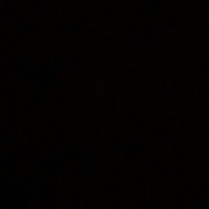 Meet your Posher, Payton